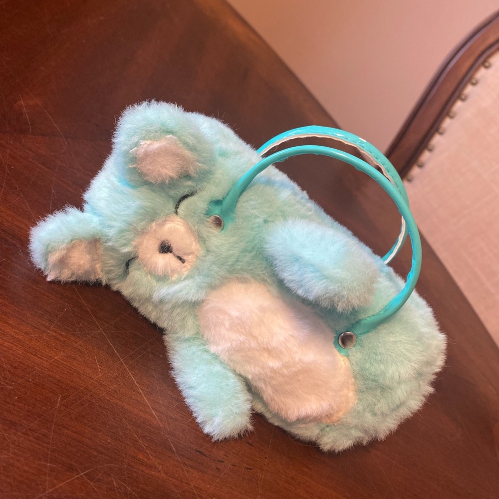 Teddy Bear Eyeglasses case and Clutch